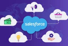 Salesforce CRM Cost