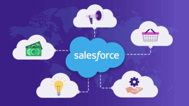 Salesforce CRM Cost
